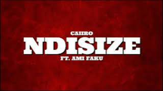 Caiiro Ndisize Acapella [upl. by Ynoffit400]