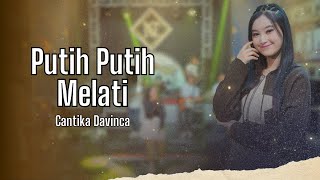 Cantika Davinca  Putih Putih Melati Video lirik [upl. by Grimaldi]