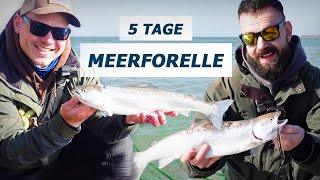 5 Tage Meerforelle Angeln  Wir fangen den Fisch der 1000 Würfe [upl. by Rose]