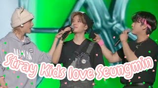 Stray Kids love Seungmin [upl. by Iat517]