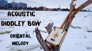 Diddley Bow  Acoustic sound  Overview [upl. by Sedgewick]