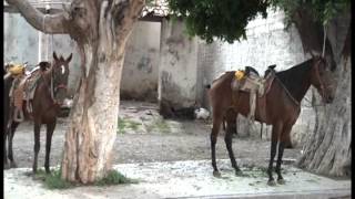 Los Ocotes Gto El Rancho [upl. by Penny]