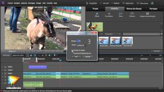 Adobe Premiere Elements 10  Ralenti [upl. by Innej126]