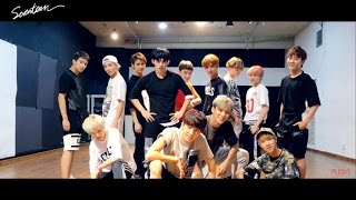 Dance Practice SEVENTEEN세븐틴  만세MANSAE  FOLLOW ME Ver [upl. by Trudy]