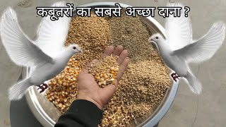 Pigeons Best Feed and mix food  kabootar ke liye Sab se Acha Dana [upl. by Ayenet]