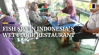 Fish pedicures in Indonesia’s wet floor restaurant [upl. by Annerol]