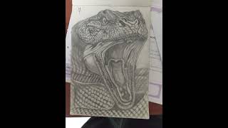 Snake drawing realistic pencil drawing [upl. by Ricca]