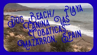 Dog Beach Playa canina Las Cobaticas Mazarrón Spain Ricky’s amp Lotta’s Travel Adventures [upl. by Nirehtak]