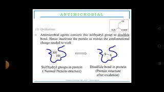 mechanism of action for antimicrobial agents By Ms Deepika [upl. by Nahtanha94]