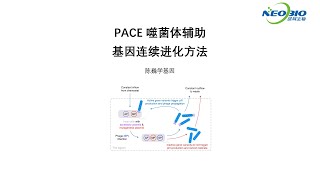 【陈巍学基因】第118期：PACE 噬菌体辅助基因连续进化方法 [upl. by Becka]