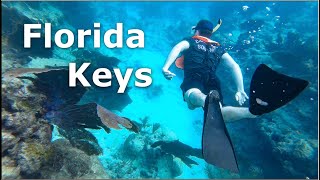 Snorkeling in the Florida Keys  John Pennekamp Coral Reef State Park [upl. by Zanlog]