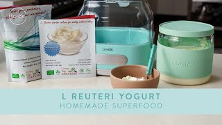 L Reuteri Yogurt HOMEMADE SUPERFOOD [upl. by Tloc857]