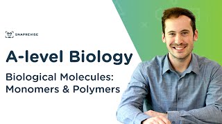 Introduction to Biological Molecules Monomers amp Polymers  Alevel Biology  OCR AQA Edexcel [upl. by Enyala]