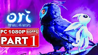 Ori and the Will of the Wisps Review [upl. by Cadman]