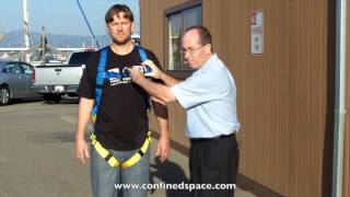 Fall Protection Harness CSProtecta AB17530 [upl. by Attlee]