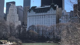 The Plaza Hotel New York City review featuring the Fitzgerald Suite [upl. by Matheny917]