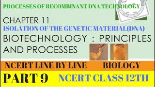 PART9 ISOLATION OF THE GENETIC MATERIALDNAPROCESSES OF RDTCLASS 12TH BIOLOGY CHAPTER 11 NCERT [upl. by Vander168]