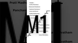 Mastering Carnatic Music Understanding the 12 Swaras in a Nutshell carnaticmusic [upl. by Thadeus]