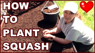 How To Plant Squash  Raised Bed Gardening [upl. by Lorusso]