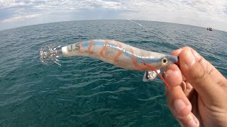 Squid Fishing In South Australia [upl. by Llirrem]