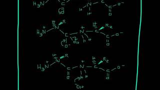 Peptide Bond Formation Mechanism [upl. by Sheela]