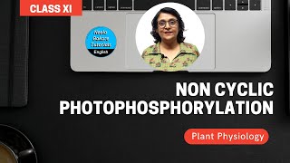 Non Cyclic Photophosphorylation  Plant Physiology  Class 11th  NEET amp AIIMS  Neela Bakore [upl. by Padget]