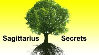 Mula Nakshatra Vedic Astrology Sagittarius Horoscope Secrets Ep 18 [upl. by Ander]