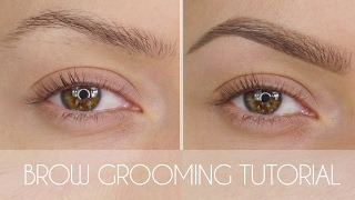 Eyebrow Grooming Tutorial In 6 Steps  Shonagh Scott  ShowMe MakeUp [upl. by Twyla472]