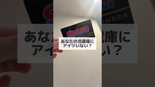 ロティサリーチキンアレンジ コストコ新商品 コストコ購入品紹介 コストコ コストコおすすめ コストコ商品 コストコ購入品 コストコクーポン [upl. by Aicek]