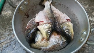 Special Clay pot Fish Curry  yummy Food [upl. by Adaliah]