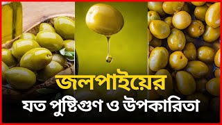 জলপাইয়ের যত পুষ্টিগুণ ও উপকারিতা  জলপাই  Jolpai Ar Upokarita  Olive [upl. by Ariada]