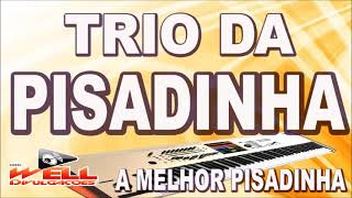 TRIO DA PISADINHA  PRA CURTIR [upl. by Enyaht]