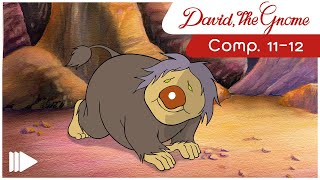 David the Gnome  1112  Full Episodes  Compilations [upl. by Carolyne901]