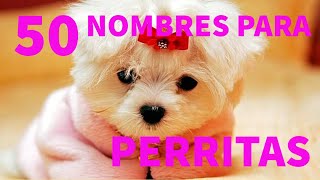 Los 50 mejores nombres para PERRITAS [upl. by Eissat139]