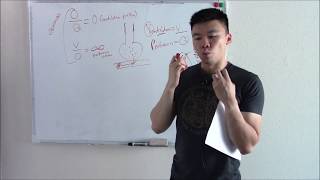 USMLE Respiratory 4 Physiology  VQ Mismatch and Aa Gradient [upl. by Lucie]