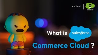 Salesforce Commerce Cloud [upl. by Asina]