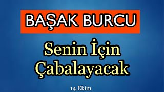 Başak Burcu 14 Ekim  20 Ekim Burç Yorumları [upl. by Mord116]