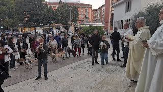 La benedizione degli animali nel segno di San Francesco [upl. by Avalsorim]