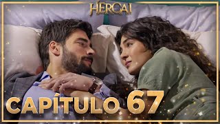 Hercai  Capítulo 67 [upl. by Aivalf474]