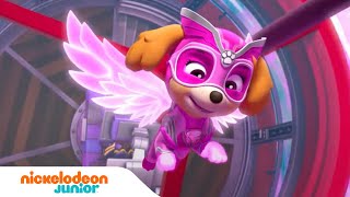 PAW Patrol  la PatPatrouille  Les aventures de la Pat Patrouille Mission Dino 🦕  Nick Jr [upl. by Durnan]