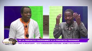 SAGESSE KAMITE  DE LA PROPHÉTIE PROGRAMMÉE A LA PROPHÉTIE PROVOQUÉE [upl. by Yartnoed]