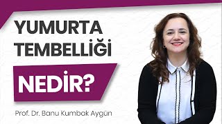 Yumurta tembelliği ne demektir [upl. by Yenrab]