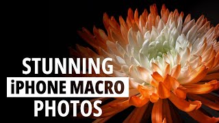 Secrets to Stunning iPhone Macro Photos [upl. by Cleon12]