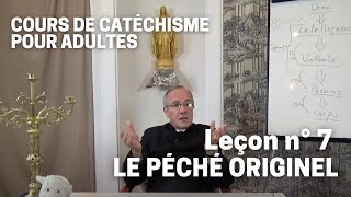 Catéchisme 732  Le Péché Originel [upl. by Esnohpla599]