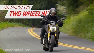 2019 Ducati Diavel 1260S  MotorWeek Two Wheelin [upl. by Hackney]