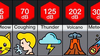 Comparison Loudest Sounds [upl. by Abrahams]