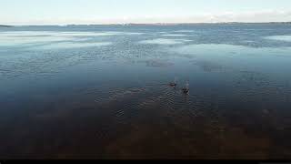 Central Coast  Tuggerah Lake  Chittaway Bay  NSW [upl. by Katee996]