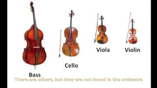 Instruments of the OrchestraStrings Part 9  Listening Examples [upl. by Scotti]