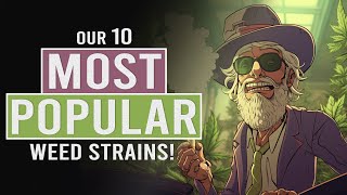 Our 10 Most Popular Cannabis Strains [upl. by Kristopher]