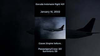 Garuda Indonesia flight 421 [upl. by Ahseekat]